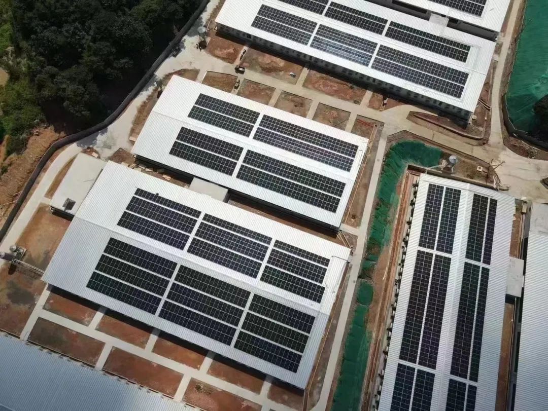 388vip太阳集团快讯:江西定南万丰3.2MW项目顺利并网发电